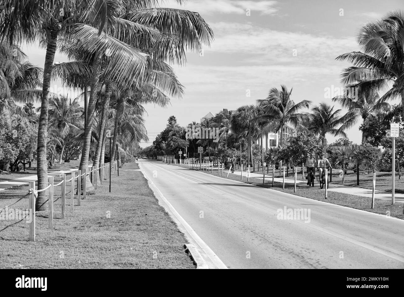 Key West, Florida USA - January 09, 2016: road way avenue with palm