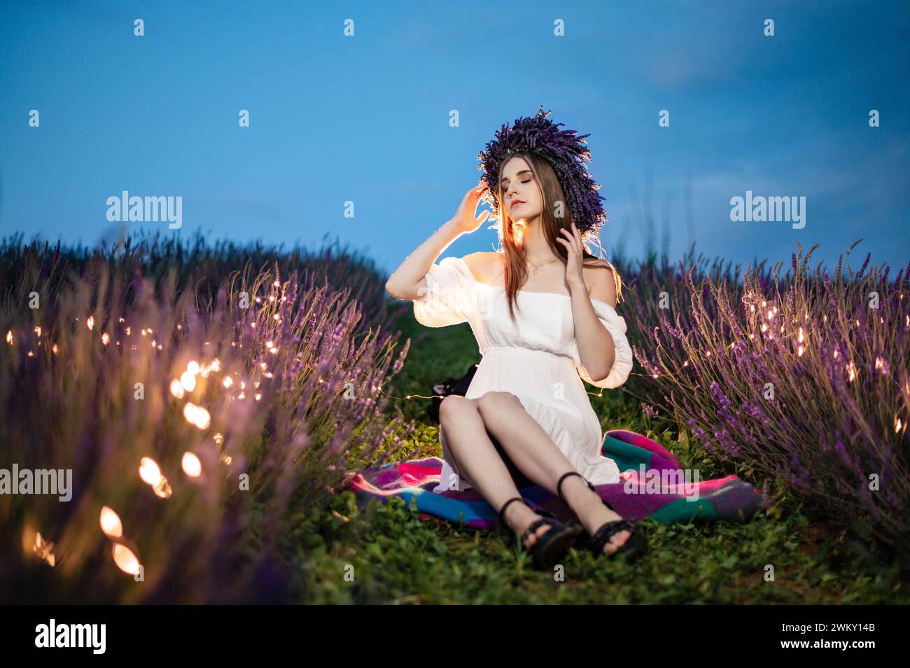 Ivano-Frankivsk, Ukraine July 28, 2023: The girl is sitting on the grass between rows of lavender, lavender bushes and flowers are illuminated by garl Stock Photo