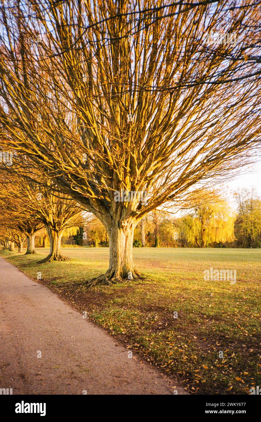 North Walls Recreation Ground, Winchester, Hampshire, England, United Kingdom Stock Photo