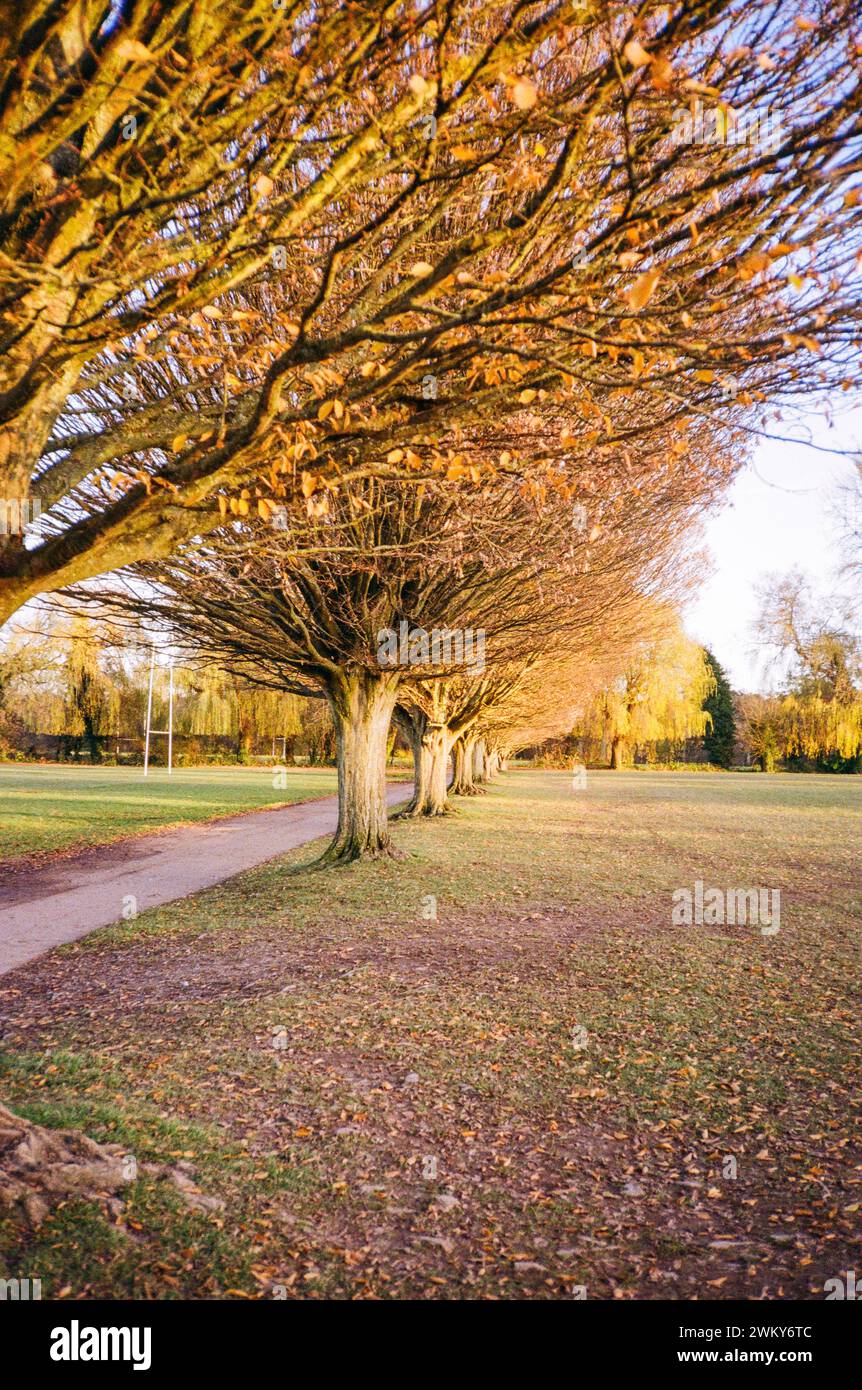 North Walls Recreation Ground, Winchester, Hampshire, England, United Kingdom Stock Photo
