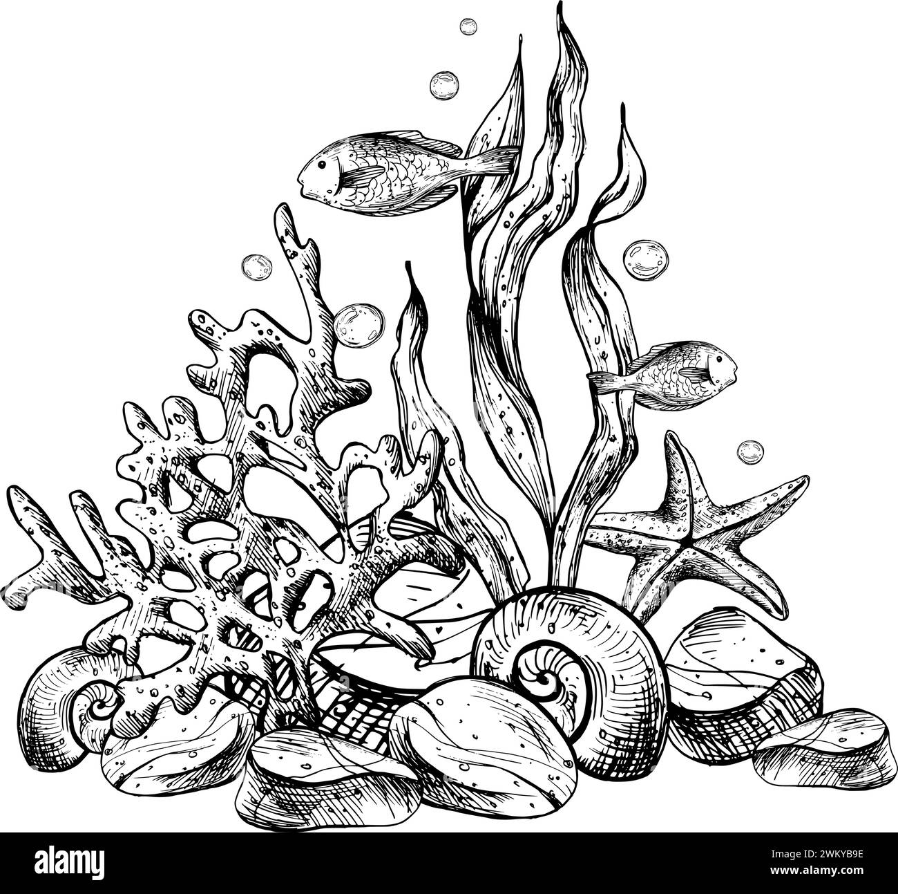 Underwater world clipart with sea animals fishes, shells, coral and ...