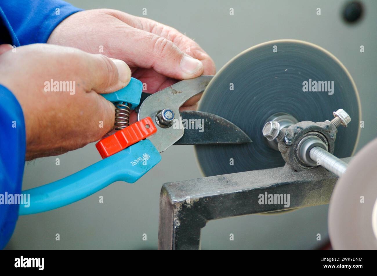 Gartenschere wird geschaerft Stock Photo
