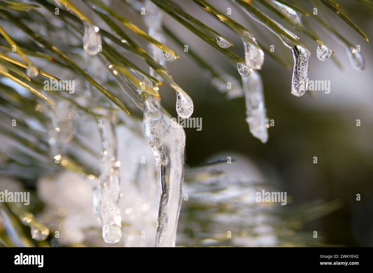 Eiszapfen Stock Photo