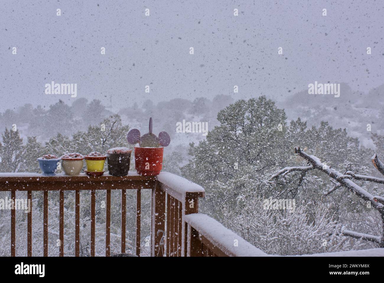 Winter Storm in Chino Valley Arizona 2024 Stock Photo Alamy