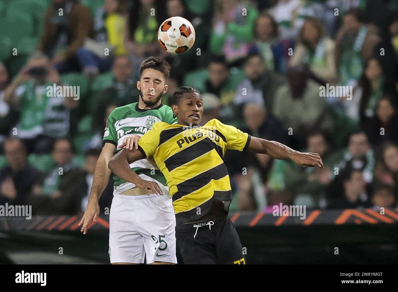 Lisbon, Portugal. 22nd Feb, 2024. Lisbon, 02/22/2024 - Sporting Clube de Portugal hosted Berner Sport Club Young Boys this evening at the Alvalade XXI stadium in Lisbon, in the match counting for the Play-Off/2nd Leg of the Europa League 2023/24. Gonçalo Inácio; Joël Monteiro (Gerardo Santos/Global Imagens) Credit: Atlantico Press/Alamy Live News Stock Photo