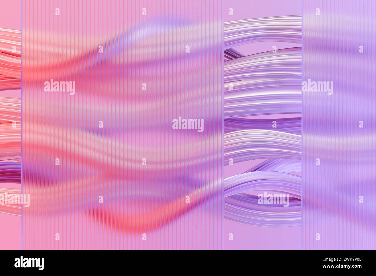 Pink and purple background with abstract wavy lines in a digital design ...