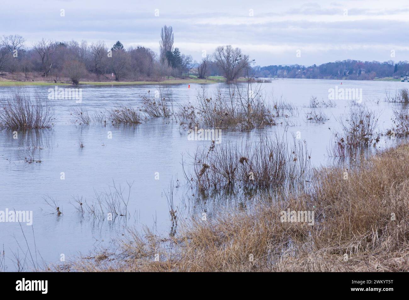 Elbe bei Laubegast Die Laubegaster Lachen, sind ein Teil des
