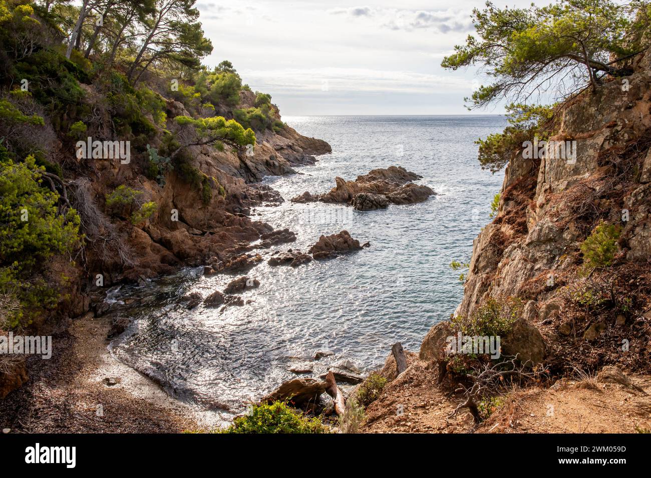 Landscape of the Var coast with a view of a small calanque in summer ...
