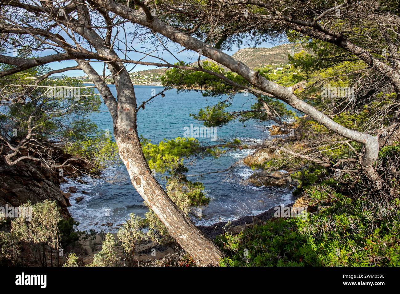 Landscape of the Var coast with a view of a small calanque in summer ...