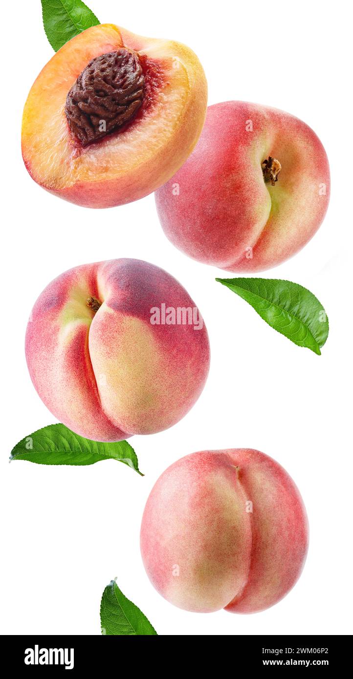 peach with slice isolated white background Stock Photo