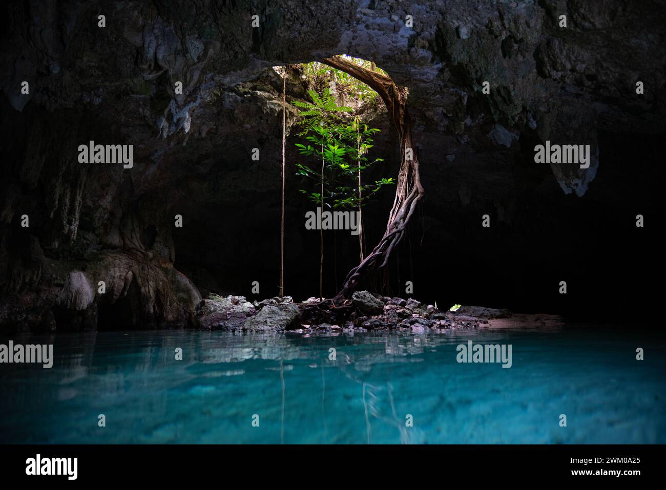 Blue waters and caves in Sac Actun Cenote Tulum Mexico Stock Photo - Alamy