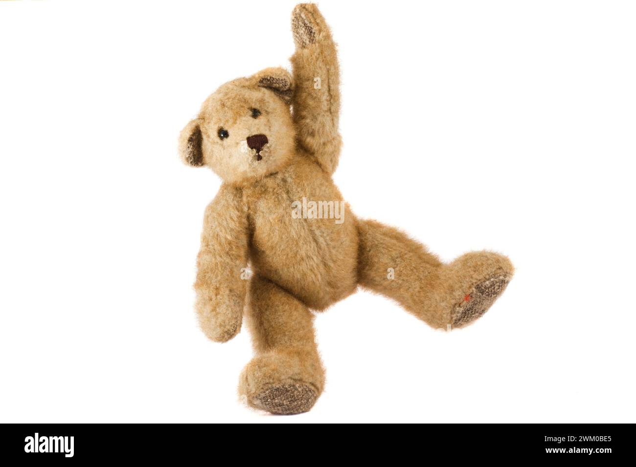 Teddy Bear isolated on white background Stock Photo - Alamy