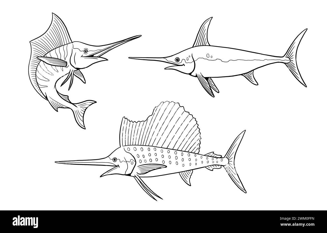 Set of different swordfish to color in. Template for a coloring book with fish. Coloring template for kids. Stock Photo