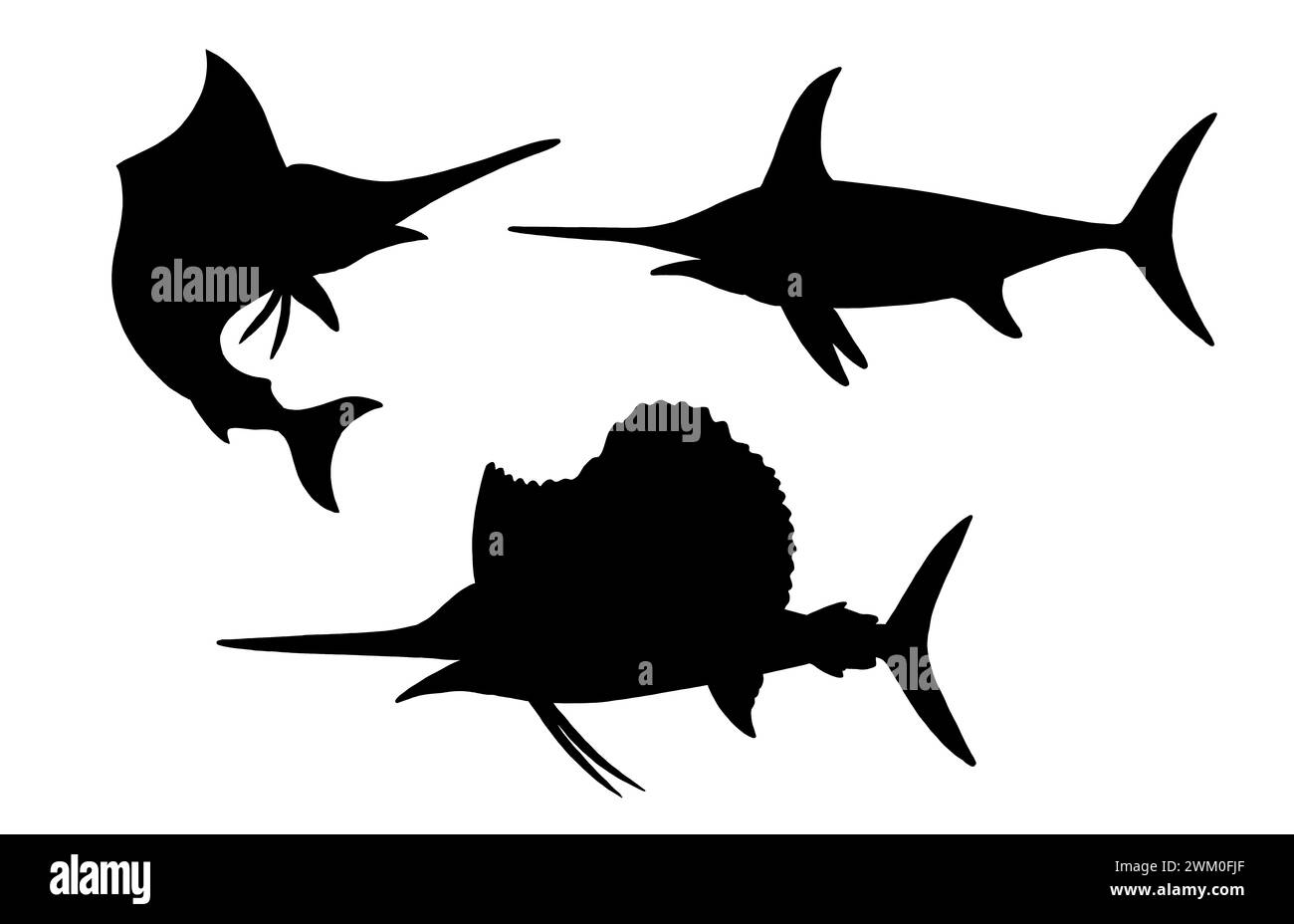 Silhouette of swordfish. Drawing with fish. Template to cut out. Stock Photo