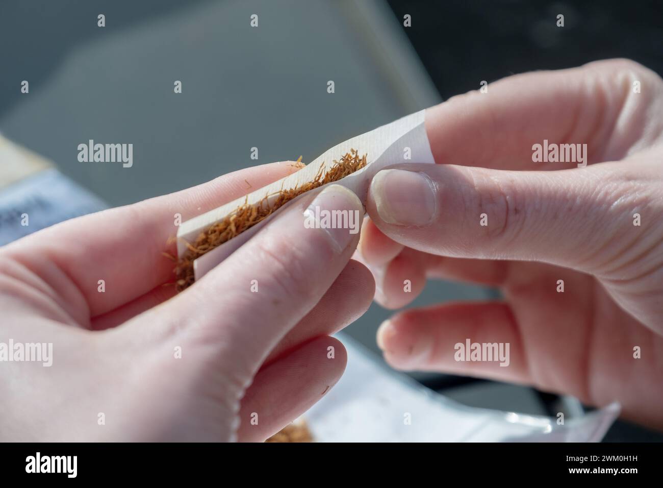 female fingers roll a cigarette, two hands skillfully turn a hand-rolled cigarette with their fingers, tobacco and paper Stock Photo