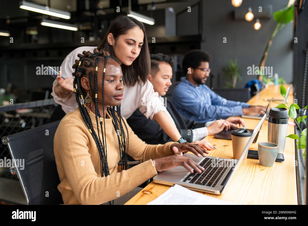 Group working with laptops hi-res stock photography and images - Alamy