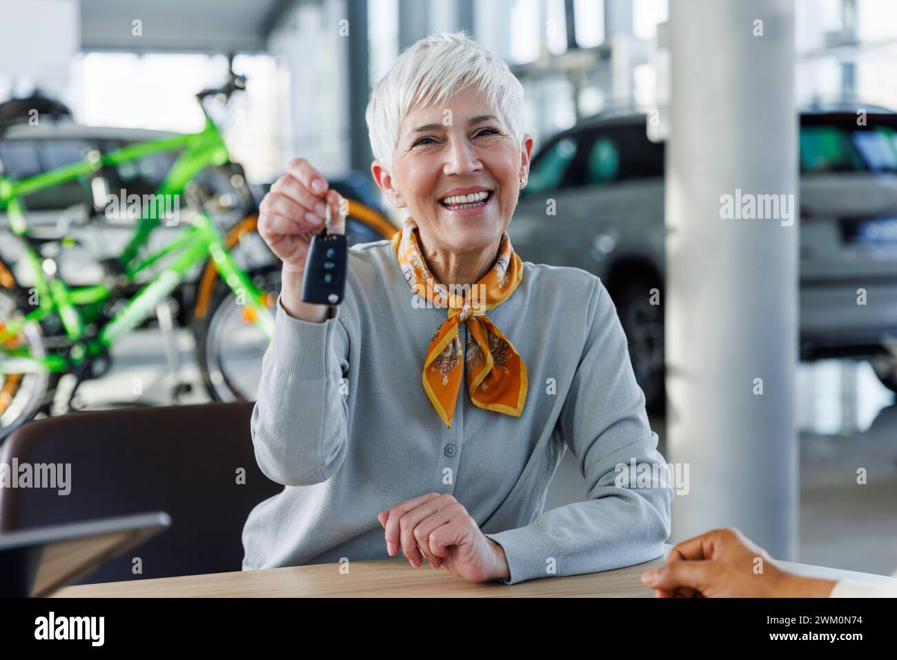Happy dealer holding car hi-res stock photography and images - Alamy
