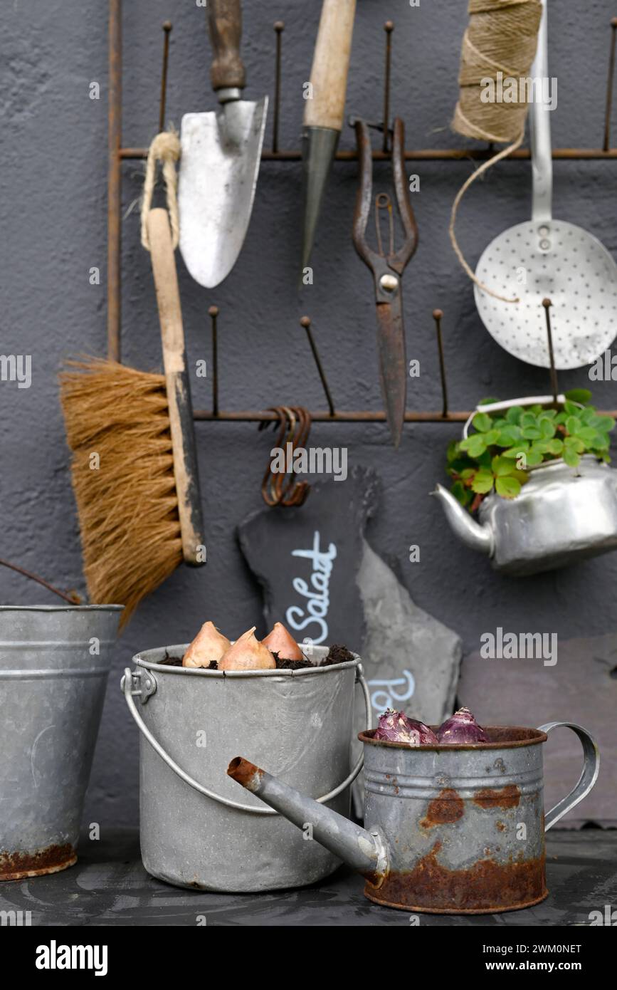 Various gardening tools hanging on wall Stock Photo