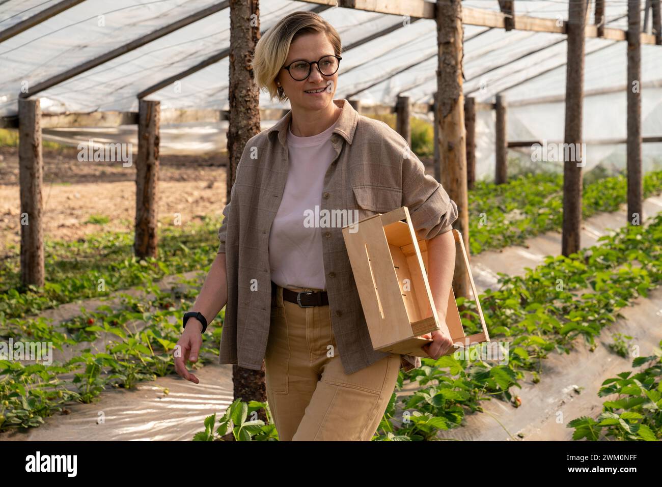 Smiling farmer holding crate and walking in greenhouse Stock Photo - Alamy