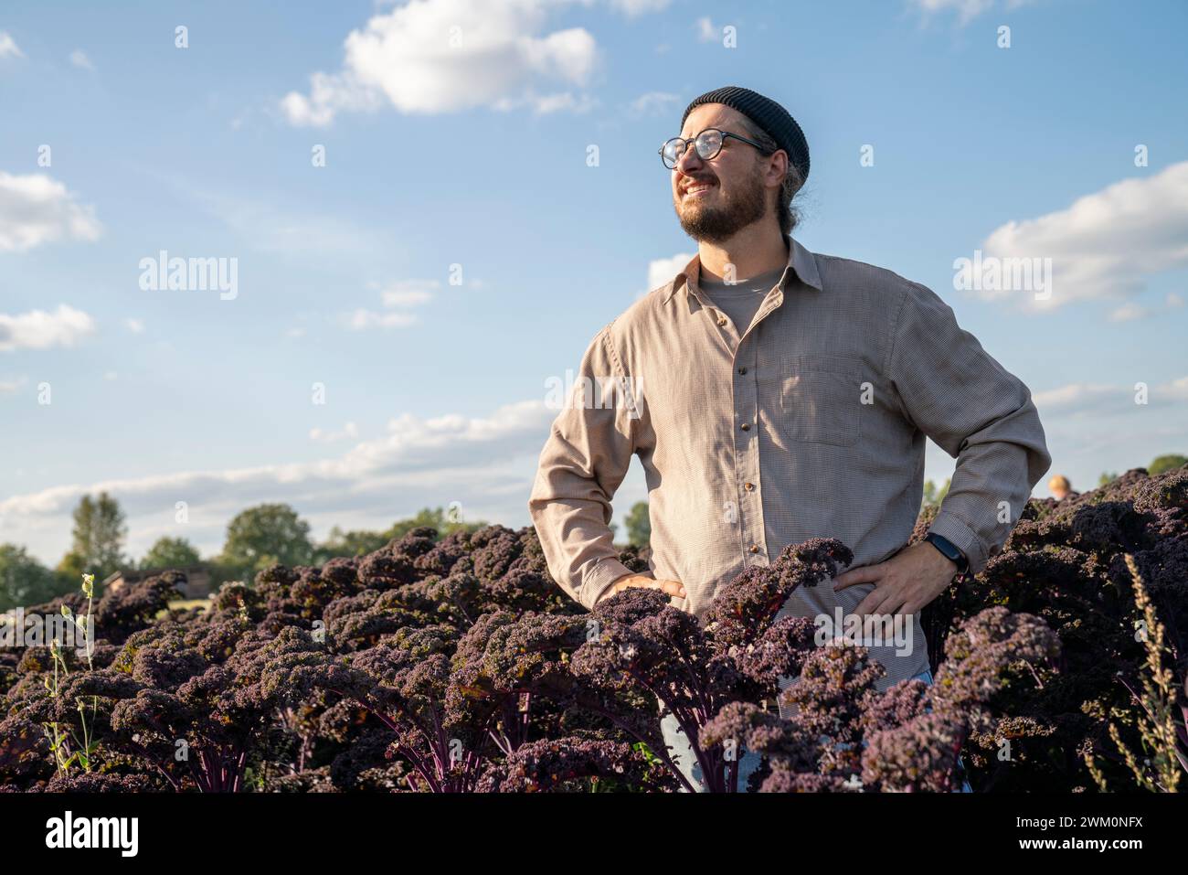 Thoughtful farmer standing with arms akimbo in purple kale farm Stock ...