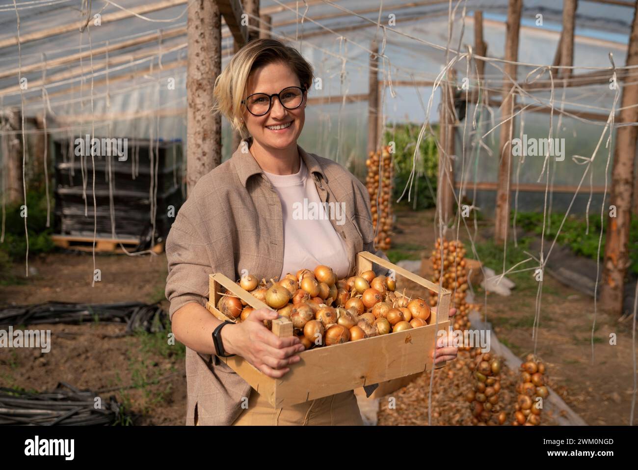 Mid growth onion field hi-res stock photography and images - Alamy