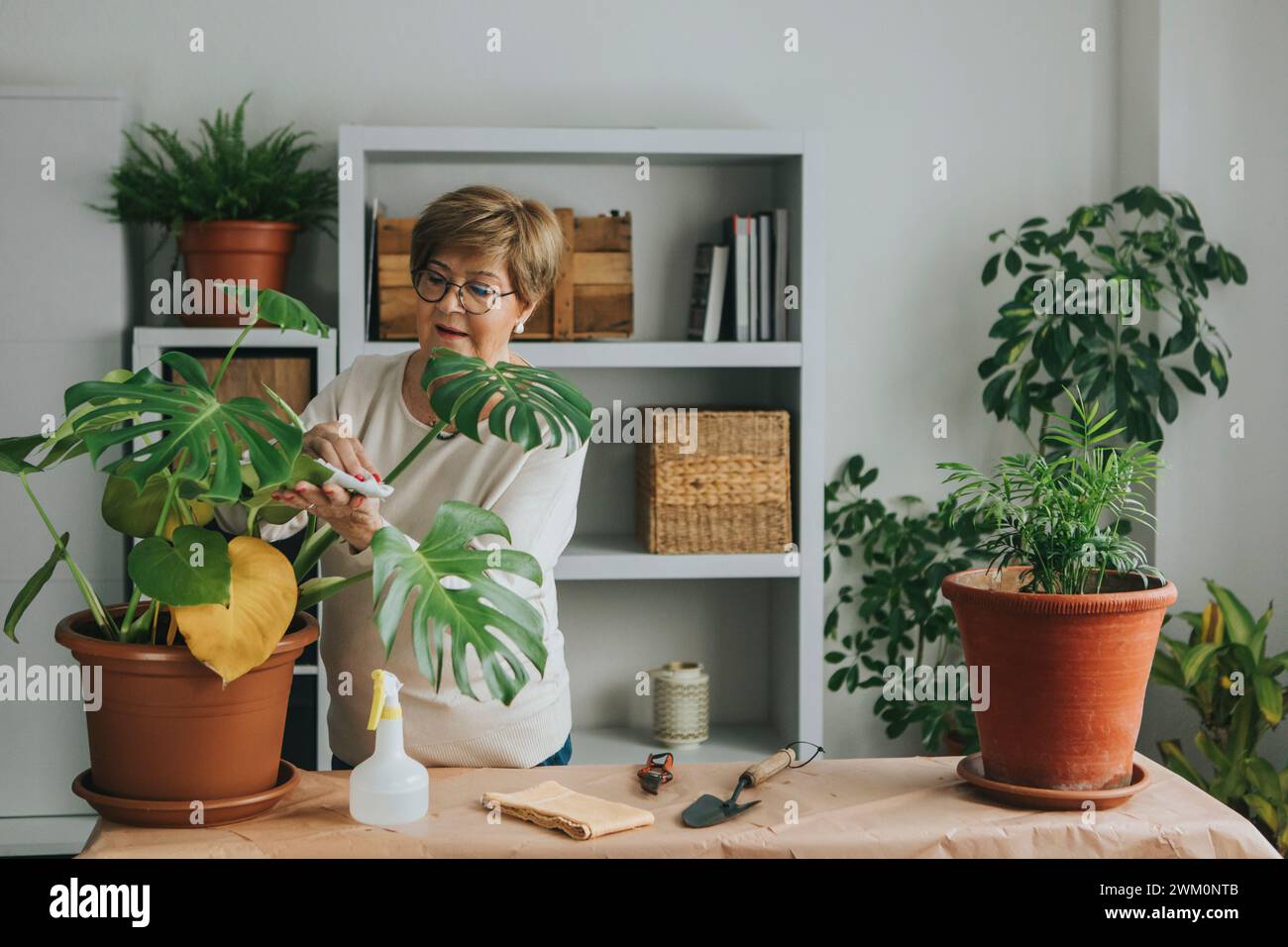 Senior woman doing gardening at home Stock Photo
