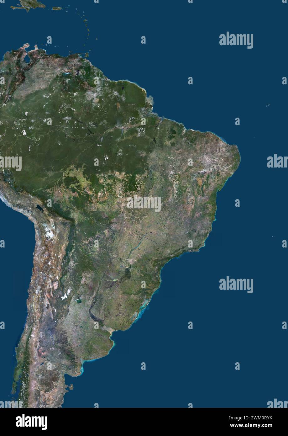 Color satellite image of Brazil and neighbouring countries (French Guyana, Suriname, Guyana, Venezuela, Bolivia, Paraguay, Uruguay). Stock Photo