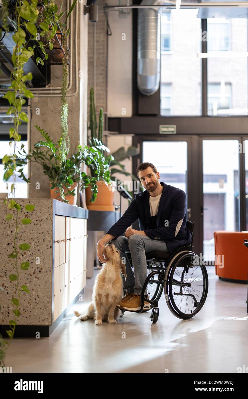 Mature businessman in wheelchair with disability petting dog at workplace Stock Photo