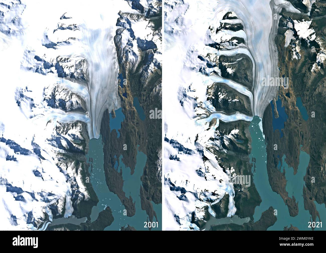 Color satellite image of Upsala Glacier in Argentina’s Los Glaciares National Park in 2001 and 2021. It has experienced significant retreat over the past century. Its melting indicates climate warming in this part of South America. Stock Photo