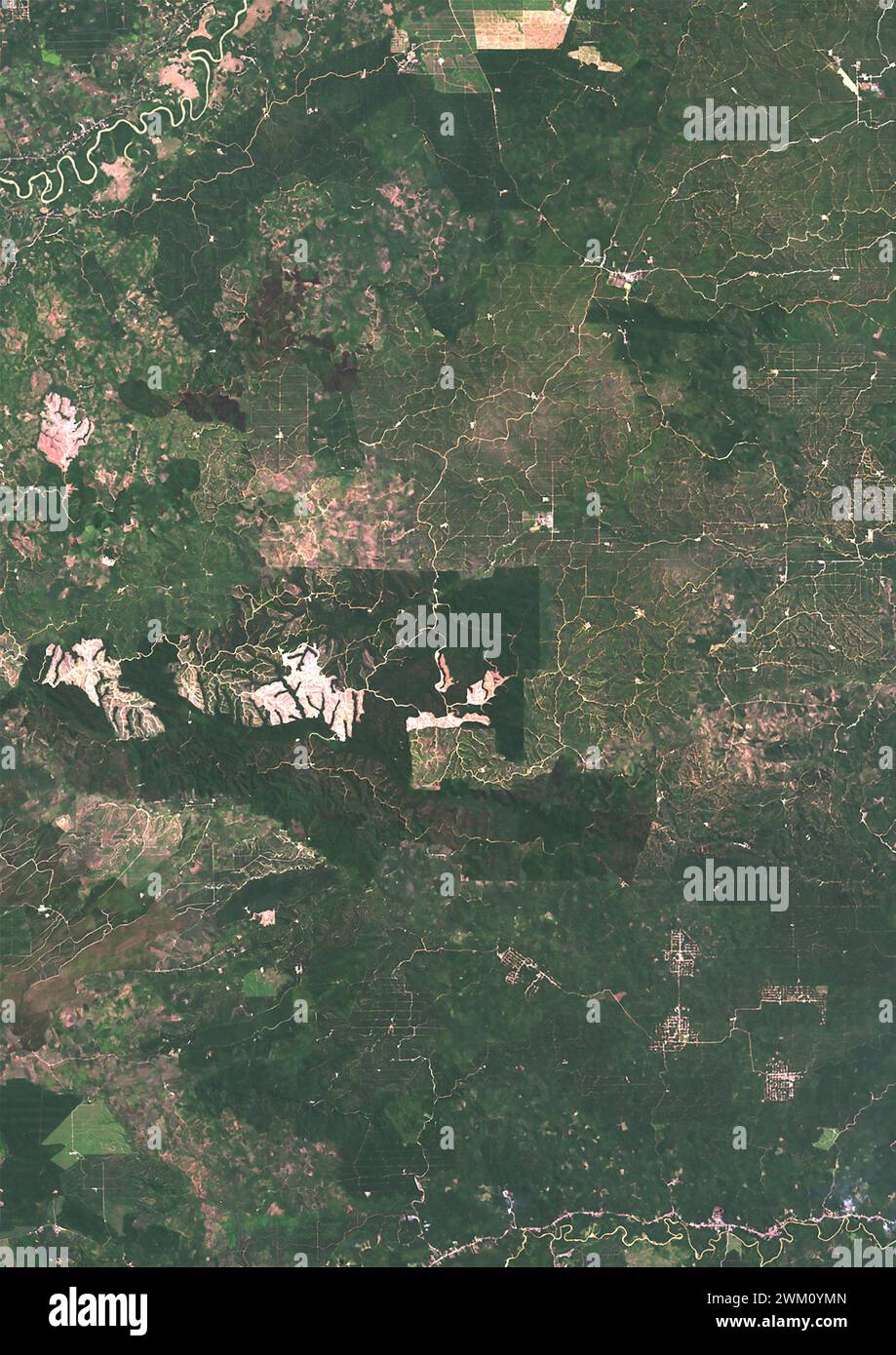 Color satellite image of oil palm plantation in North Sumatra in 2021. Stock Photo