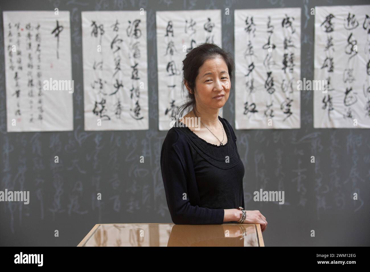 3826375 Julie Otsuka; (add.info.: Festival of Literatures', Rome 2012. Japanese-American writer Julie Otsuka in front of some works by Chinese master calligrapher Xiao Yunru shown at 'Casa delle Letterature' / 'Festival Letterature', Roma 2012. La scrittrice Julie Otsuka davanti ad alcune opere del calligrafo cinese Xiao Yunru esposte nella Casa delle Letterature); © Marcello Mencarini. All rights reserved 2024. Stock Photo