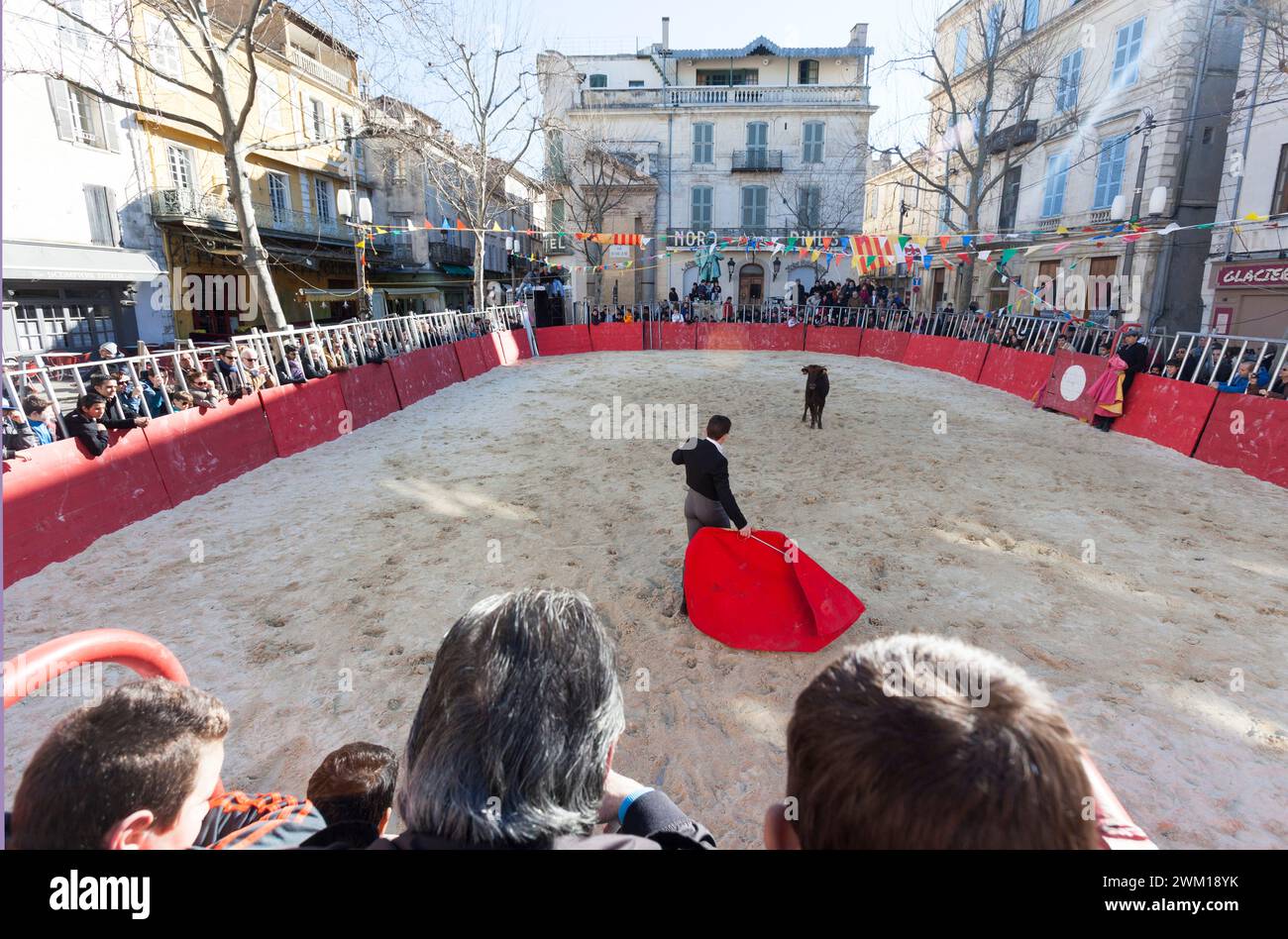 4065419 Arles, Provence (France), March 2, 2014. Show of the Arles bullfight children with young bulls in Place du Forum; (add.info.: Arles, Provence (France), March 2, 2014. Show of the Arles bullfight children with young bulls in Place du Forum  Arles, Provenza (Francia), 2 marzo 2014. Esibizione dei bambini della scuola taurina di Arles con giovani tori in place du Forum); © Marcello Mencarini. All rights reserved 2024. Stock Photo