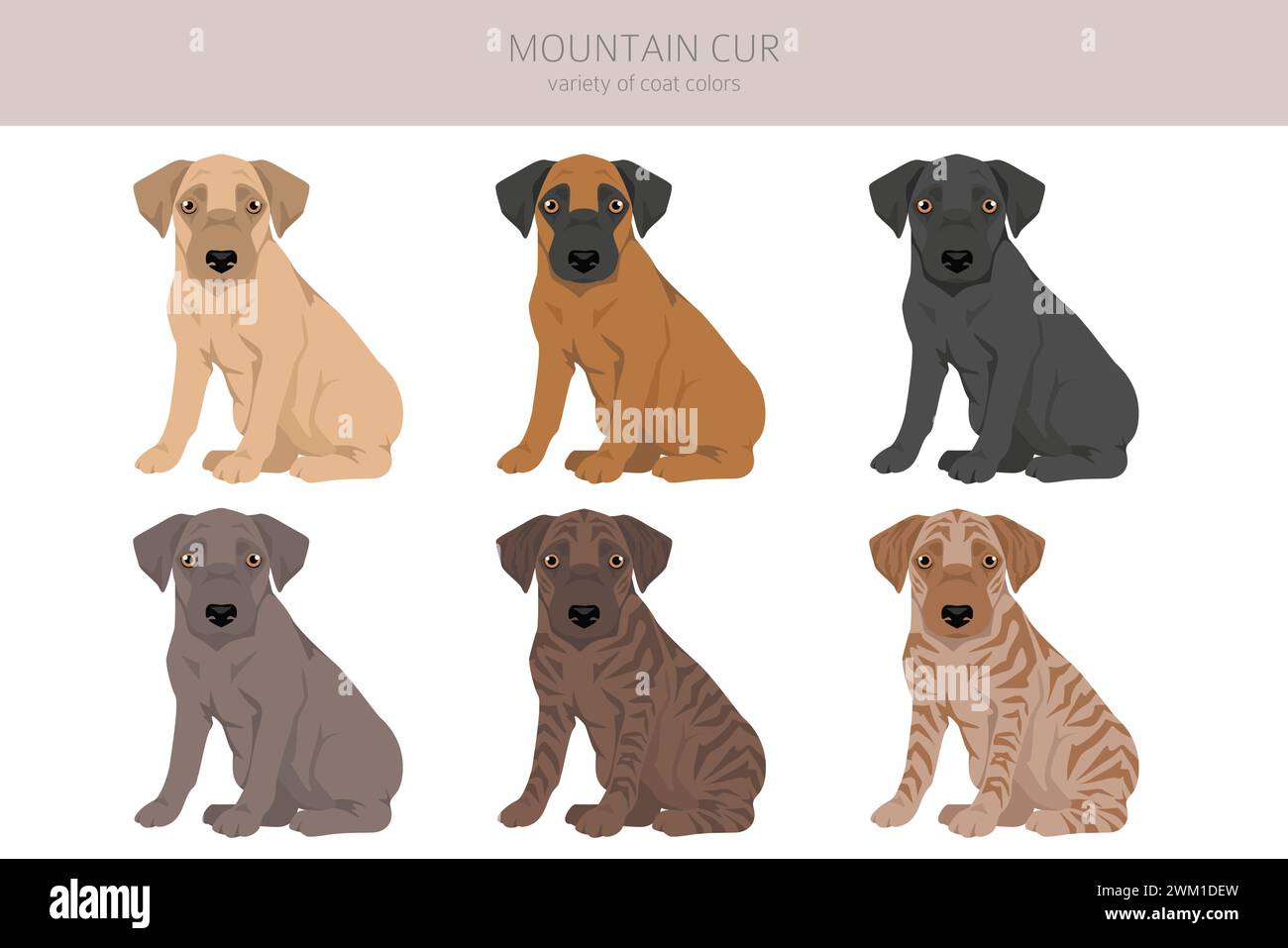 Mountain Cur puppy clipart. Different poses, coat colors set. Vector ...