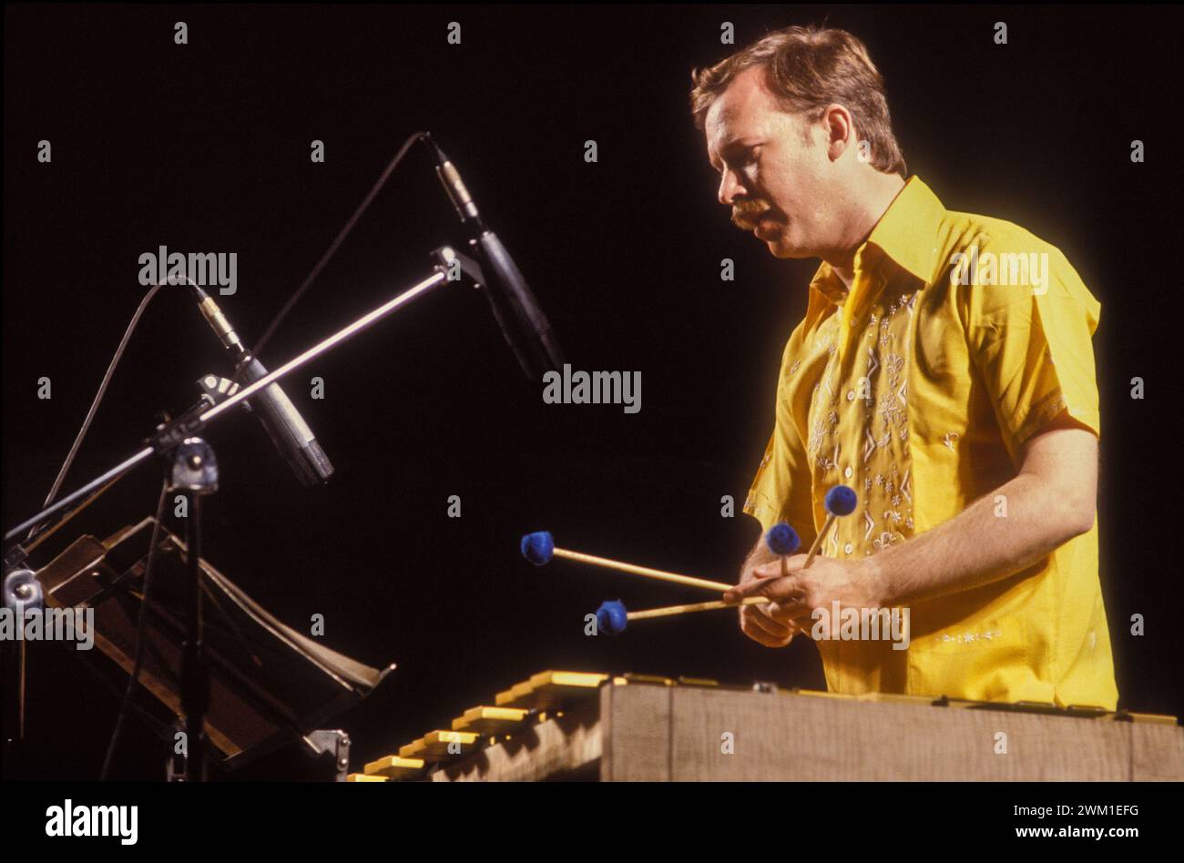 4067983 American jazz vibraphonist Gary Burton, about 1985 (photo); (add.info.: Gary Burton, vibrafonista jazz, 1985 circa); © Marcello Mencarini. All rights reserved 2024. Stock Photo