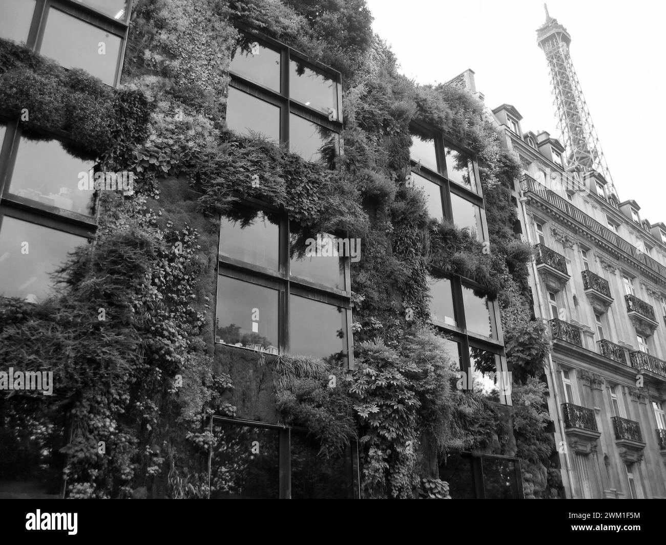 4068205 Quay Branly Museum In Paris add info 24 Hours In Paris 4068205-quay-branly-museum-in-paris-add-info-24-hours-in-paris