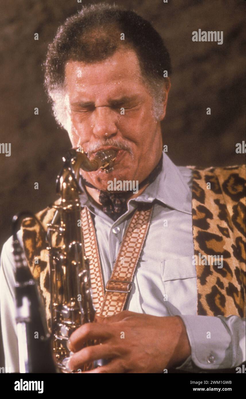 North american saxophonists hires stock photography and images Alamy