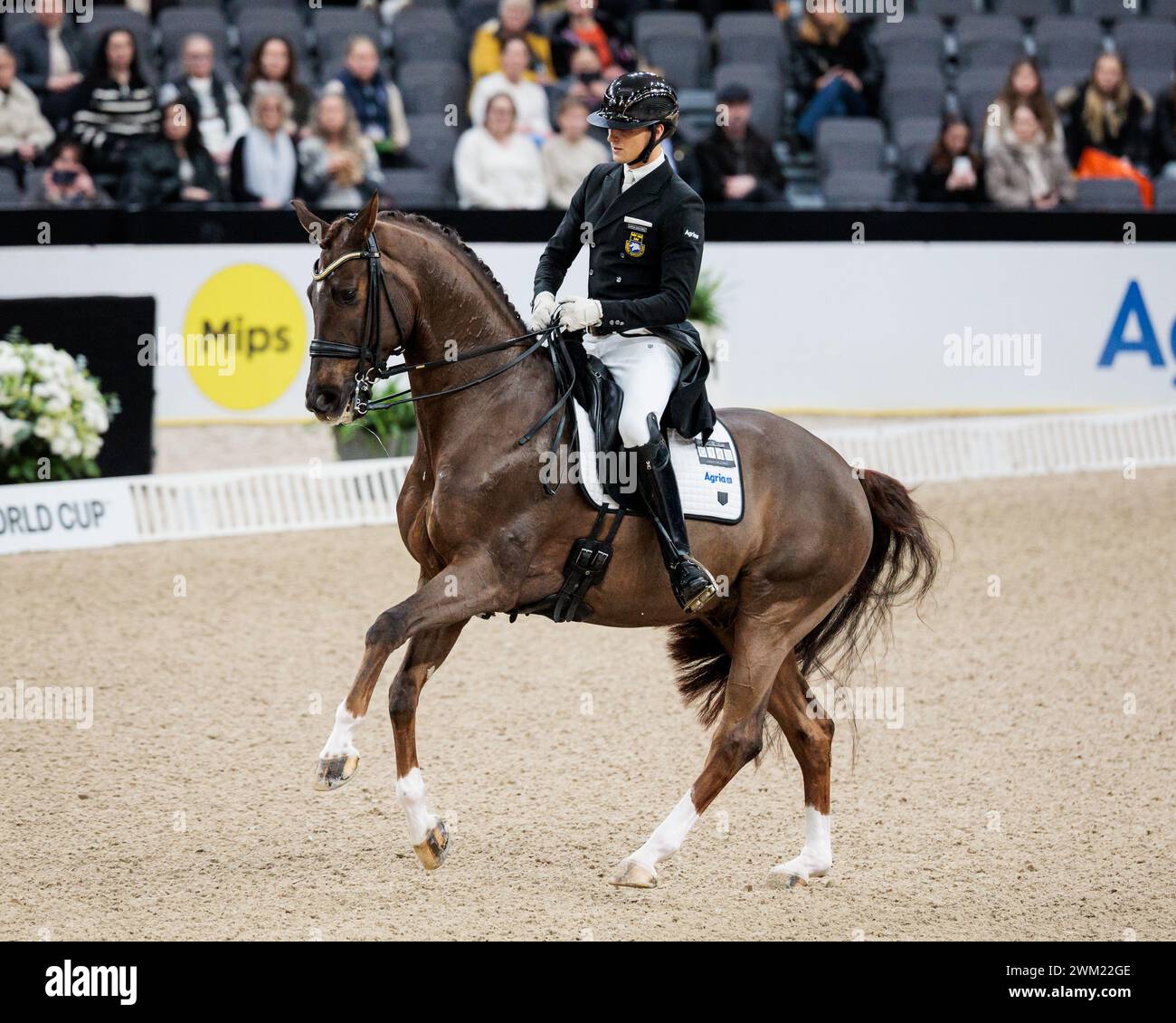 Carl hedin hires stock photography and images Alamy