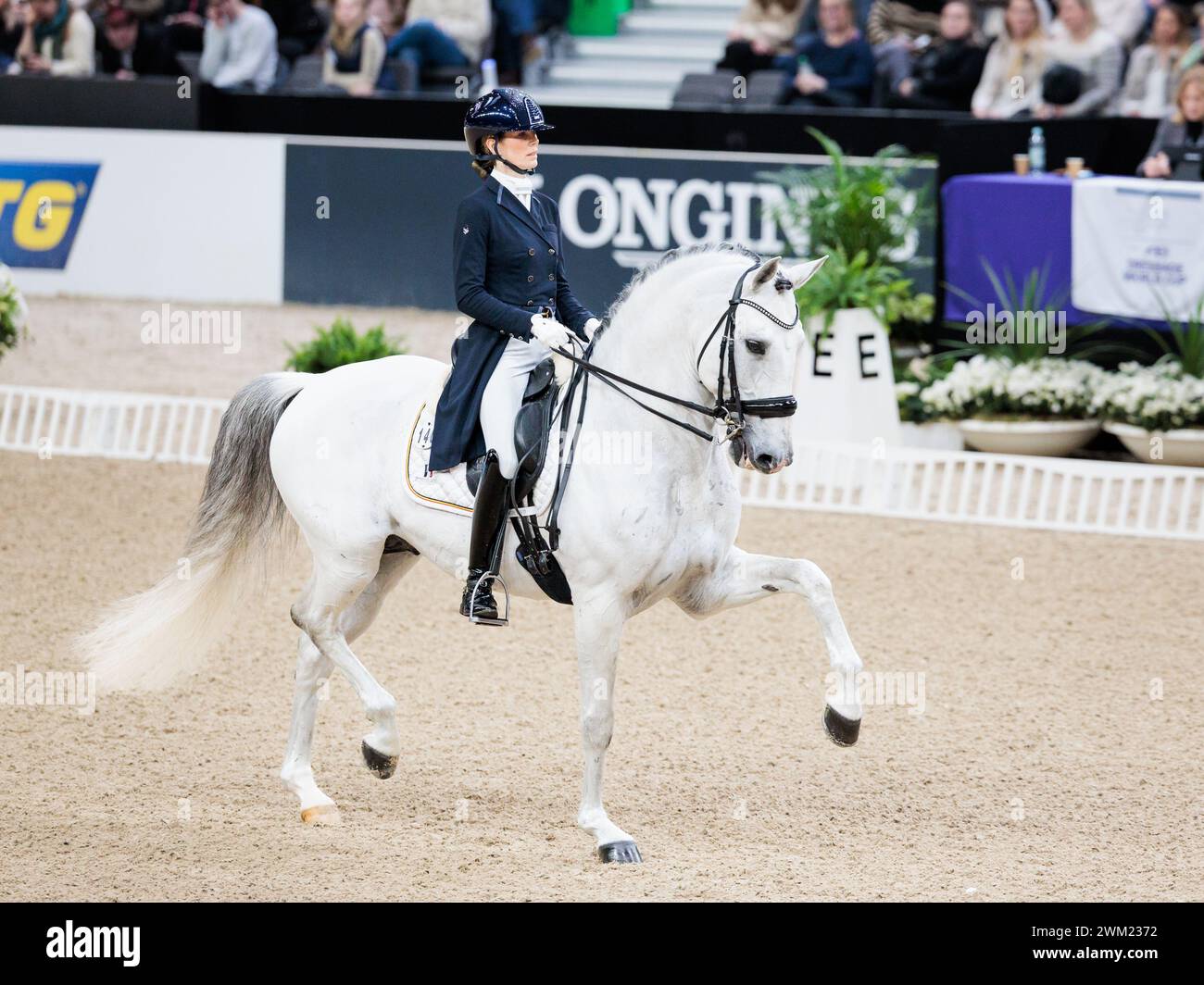Alexa fairchild hires stock photography and images Alamy