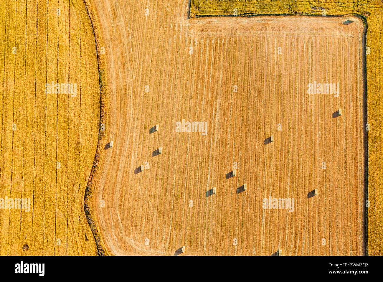 Just harvested field, aerial view. Province of Segovia, Castilla y León, Spain, Europe Stock Photo