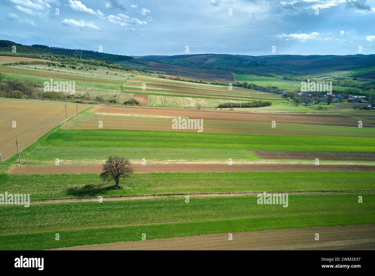 Aerial view of green farm fields in summer season with growing crops ...