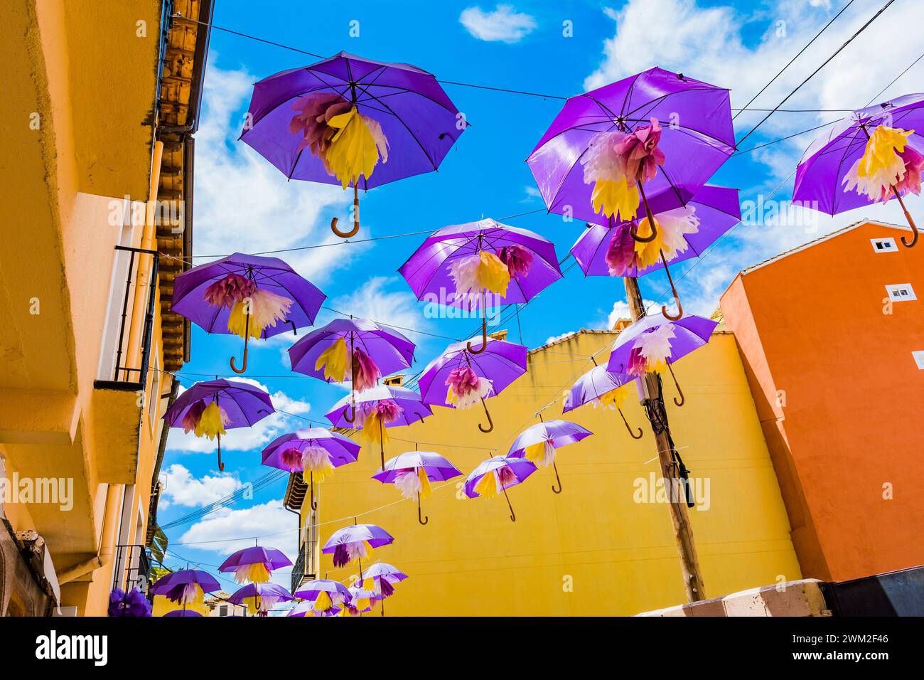 Violet umbrellas provide shade for a narrow street during the Lavender Festival. Brihuega, La Alcarria, Guadalajara, Castilla La Mancha, Spain, Europe Stock Photo
