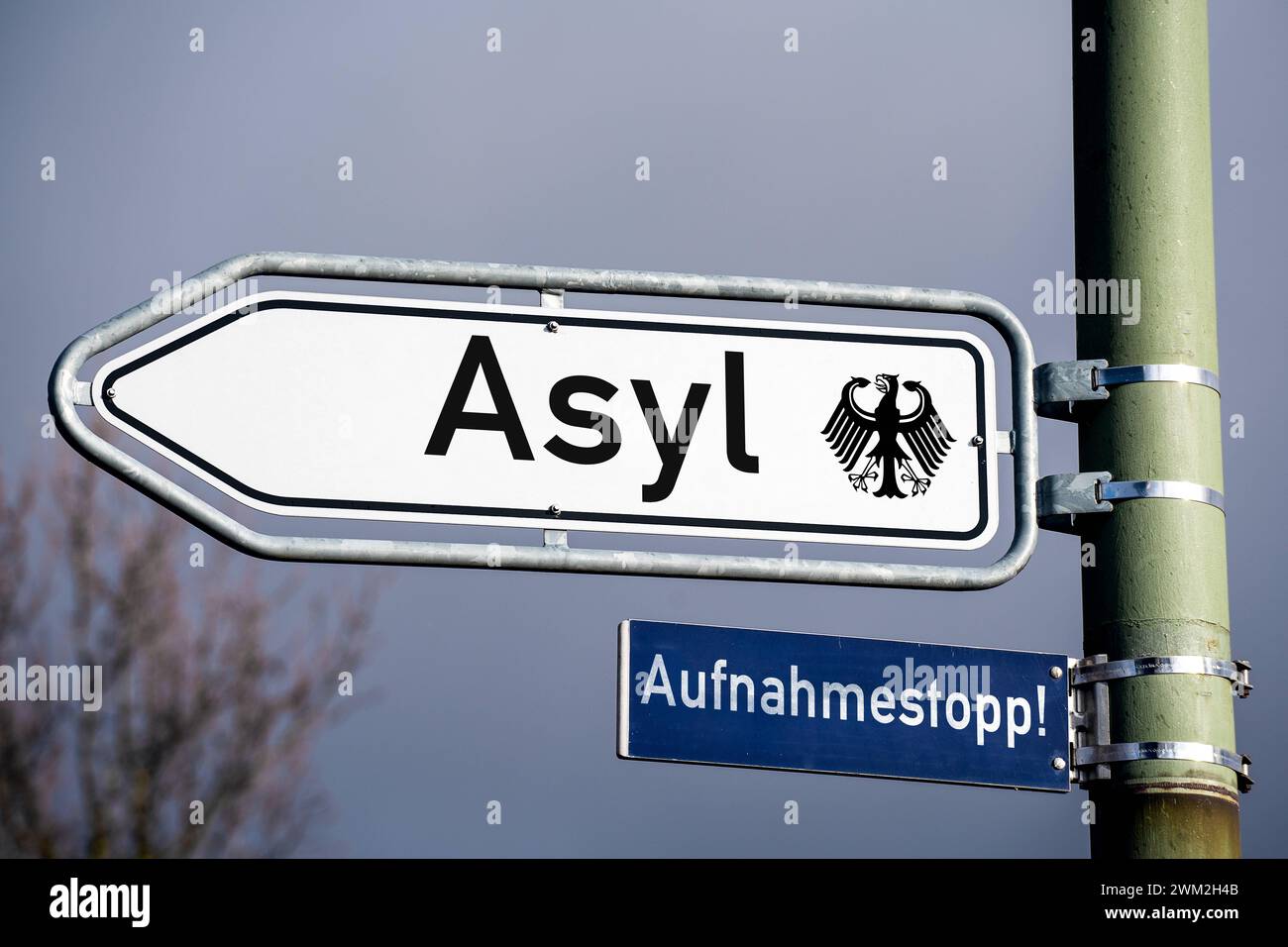 February 23, 2024: Signpost with the words Asylum and Reception stop. PHOTOMONTAGE *** Wegweiser mit Aufschrift Asyl und Aufnahmestopp. FOTOMONTAGE Stock Photo