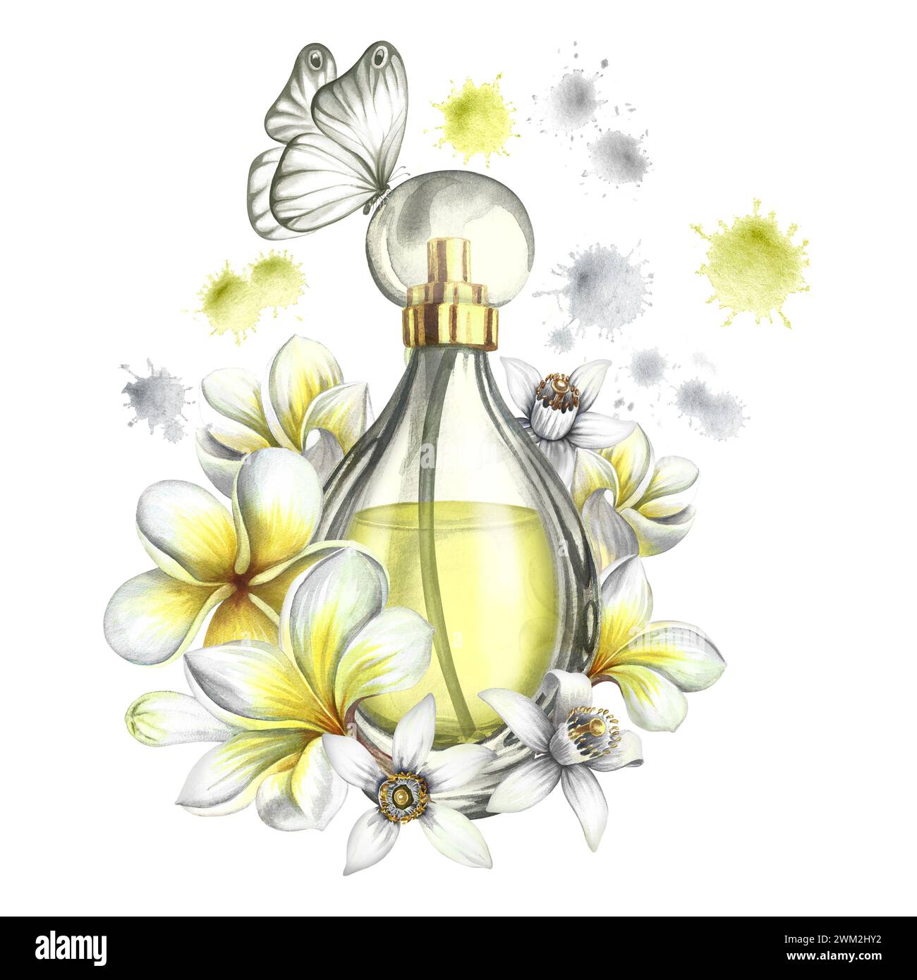 A perfume bottle made of transparent glass with plumeria, frangipani and orange blossom flowers. Vintage yellow perfume with a butterfly. Hand-drawn w Stock Photo