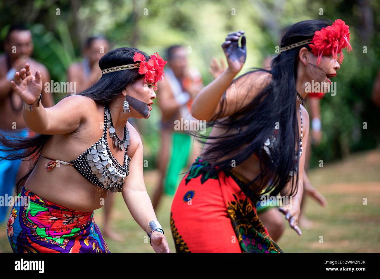 Embere Indigenous Embera men in traditional dress with musical ...