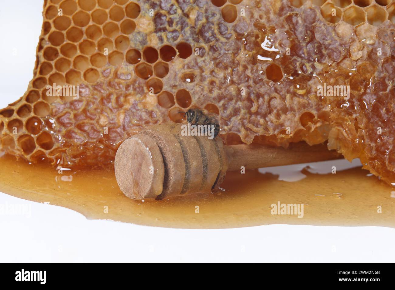 Honey and honeycomb on white background Stock Photo