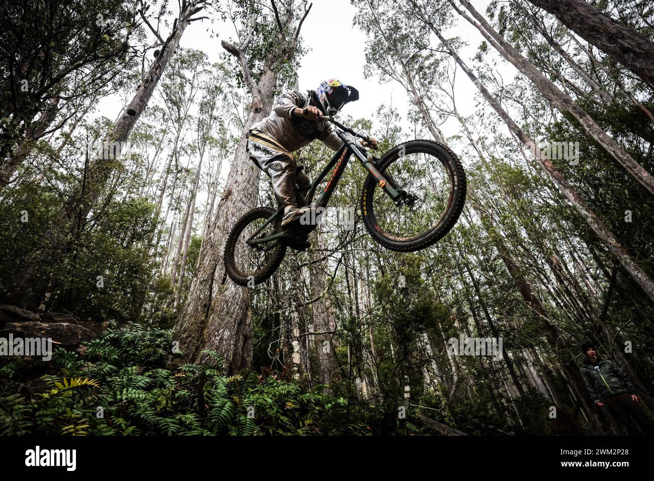 Remy morton red bull hotsell