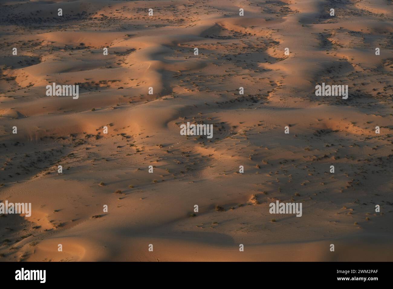 Aerial view of desert near Dubai, UAE, showing a herd of oryx. Stock Photo