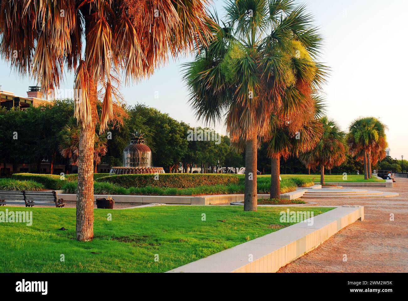 Palmettos line a walkway in a riverfront park in Charleston South ...