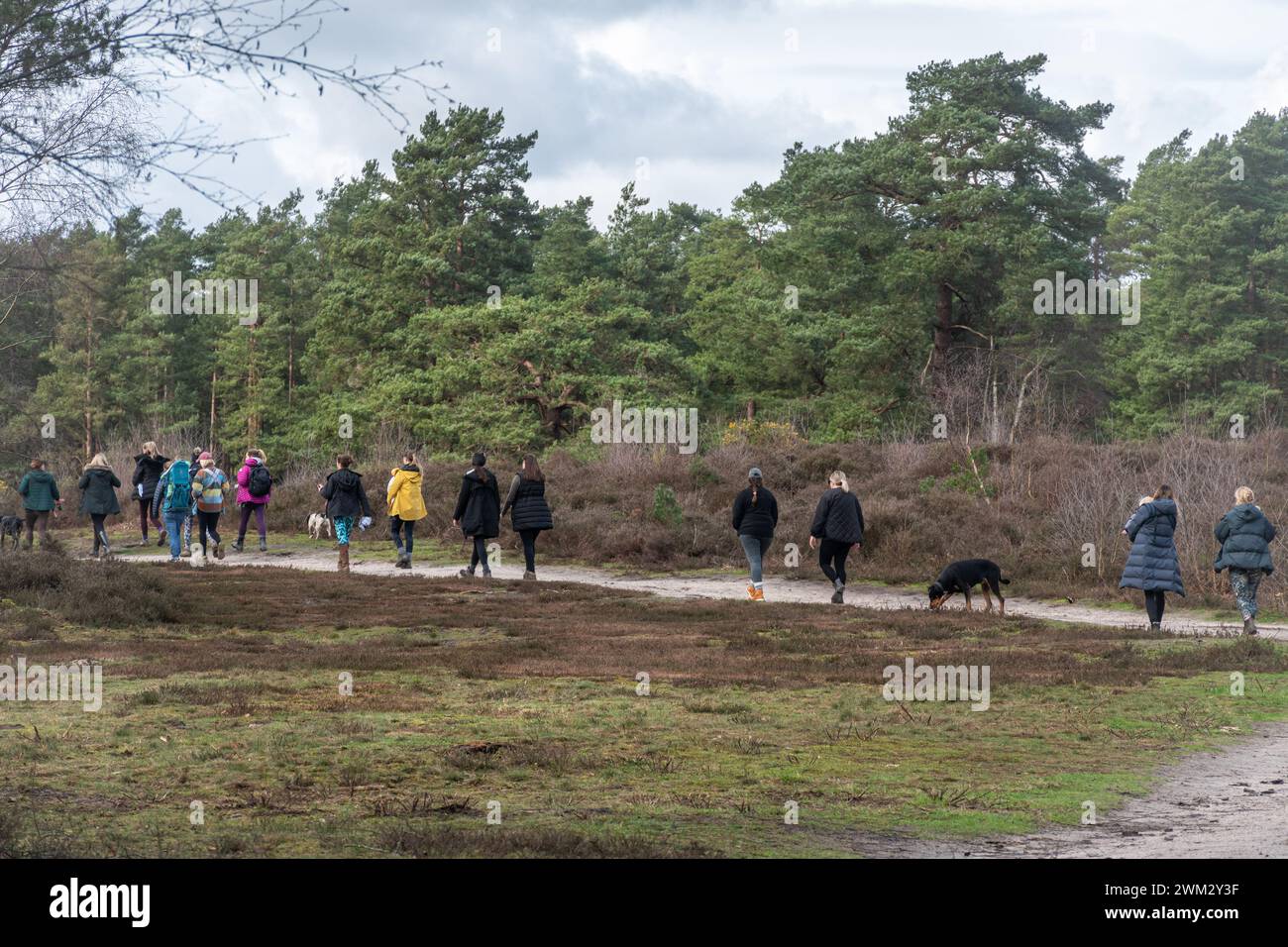 Young women including mothers carrying their babies going for a group walk in the countryside, Surrey, England, UK. Wellness concept Stock Photo