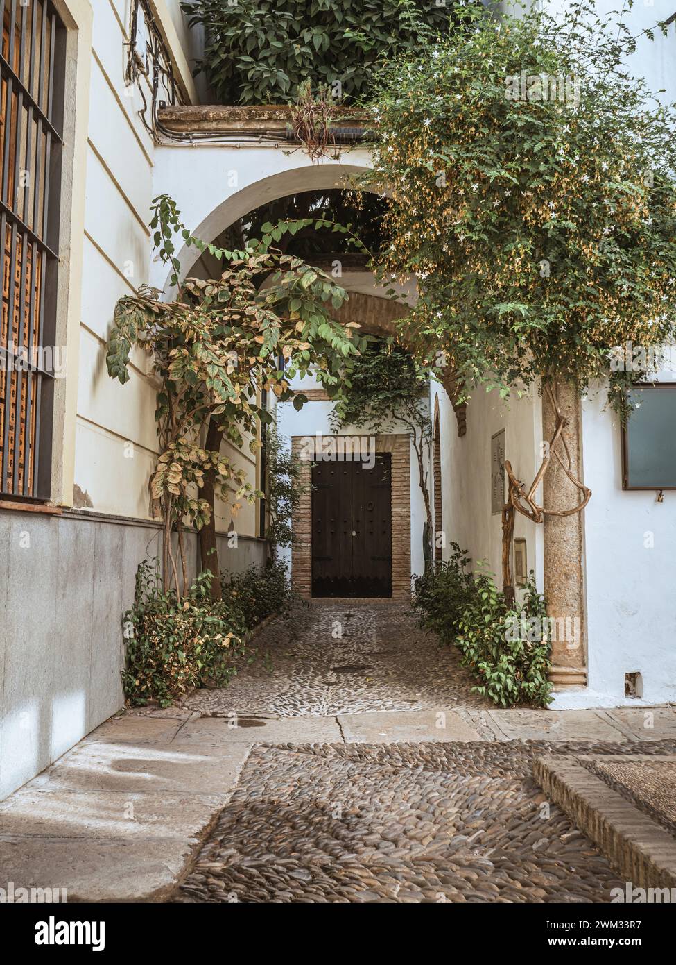 View of empty cobblestone courtyard patio in the historical old town of Cordoba, Andalusia, Spain, in the historical neighborhood, white painted build Stock Photo